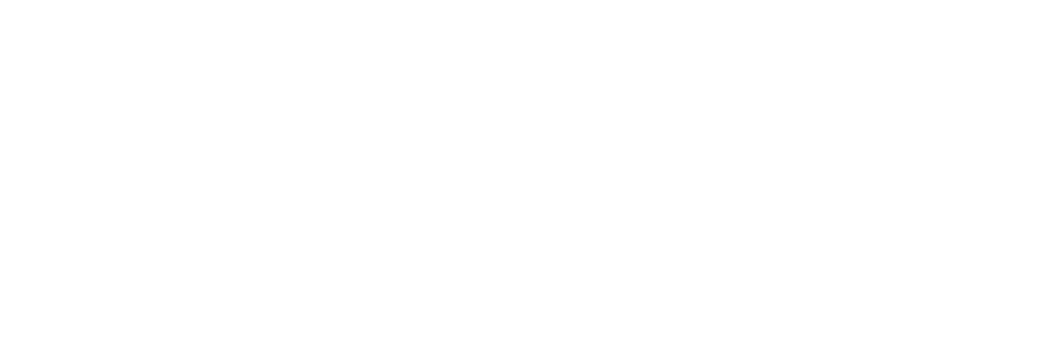 nayzach logo
